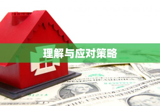 普湾新区理解与应对策略